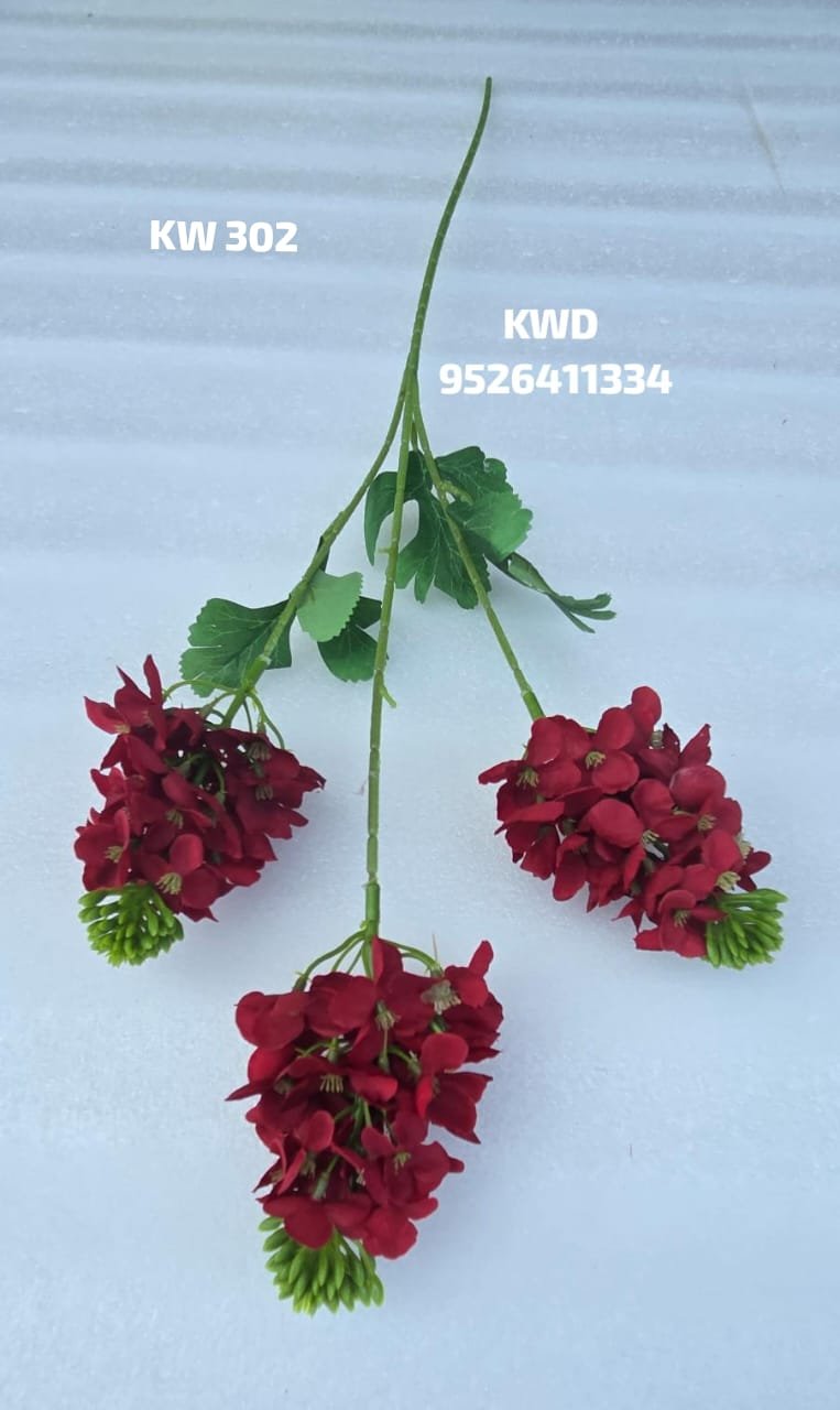 whatsapp image 2026 03 16 at 3.42.15 pm (1)