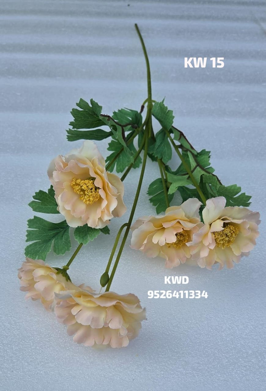 whatsapp image 2026 03 16 at 3.42.15 pm