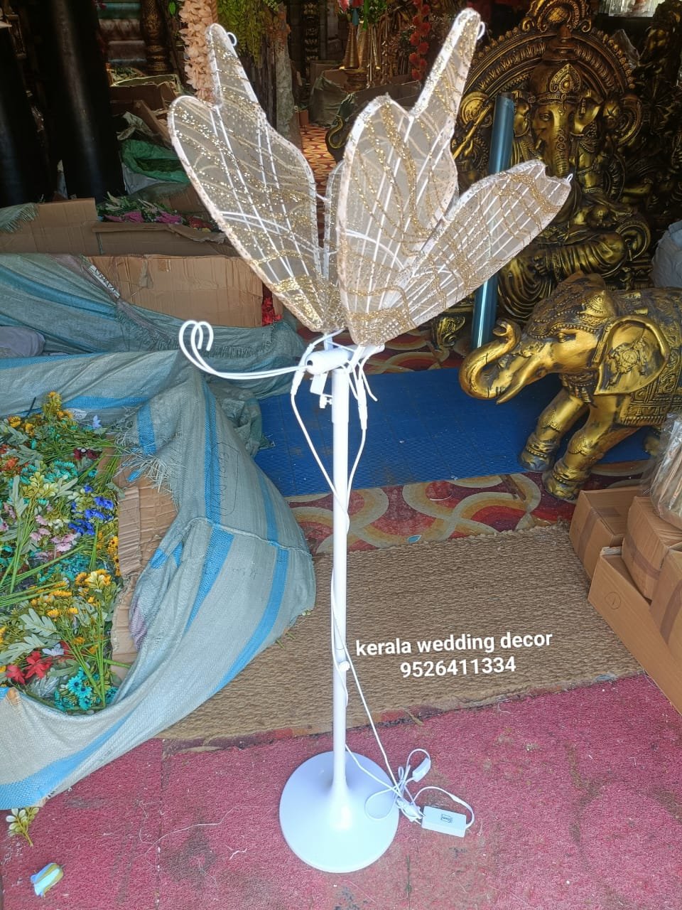 whatsapp image 2026 03 16 at 3.44.00 pm