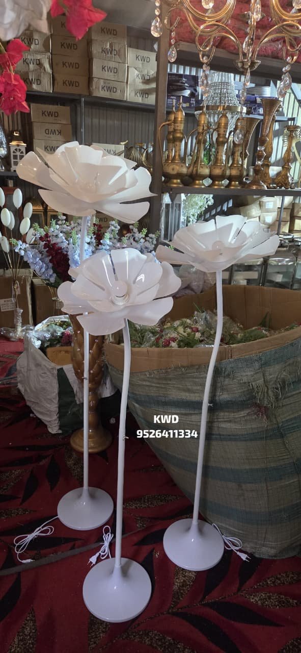 whatsapp image 2026 03 16 at 3.44.01 pm (1)