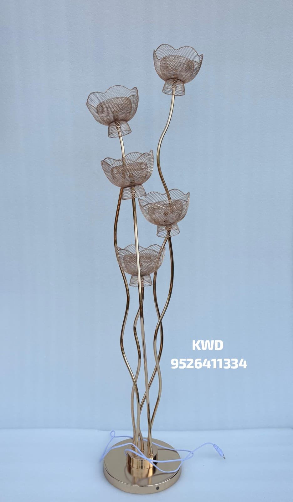 whatsapp image 2026 03 16 at 3.44.10 pm (1)