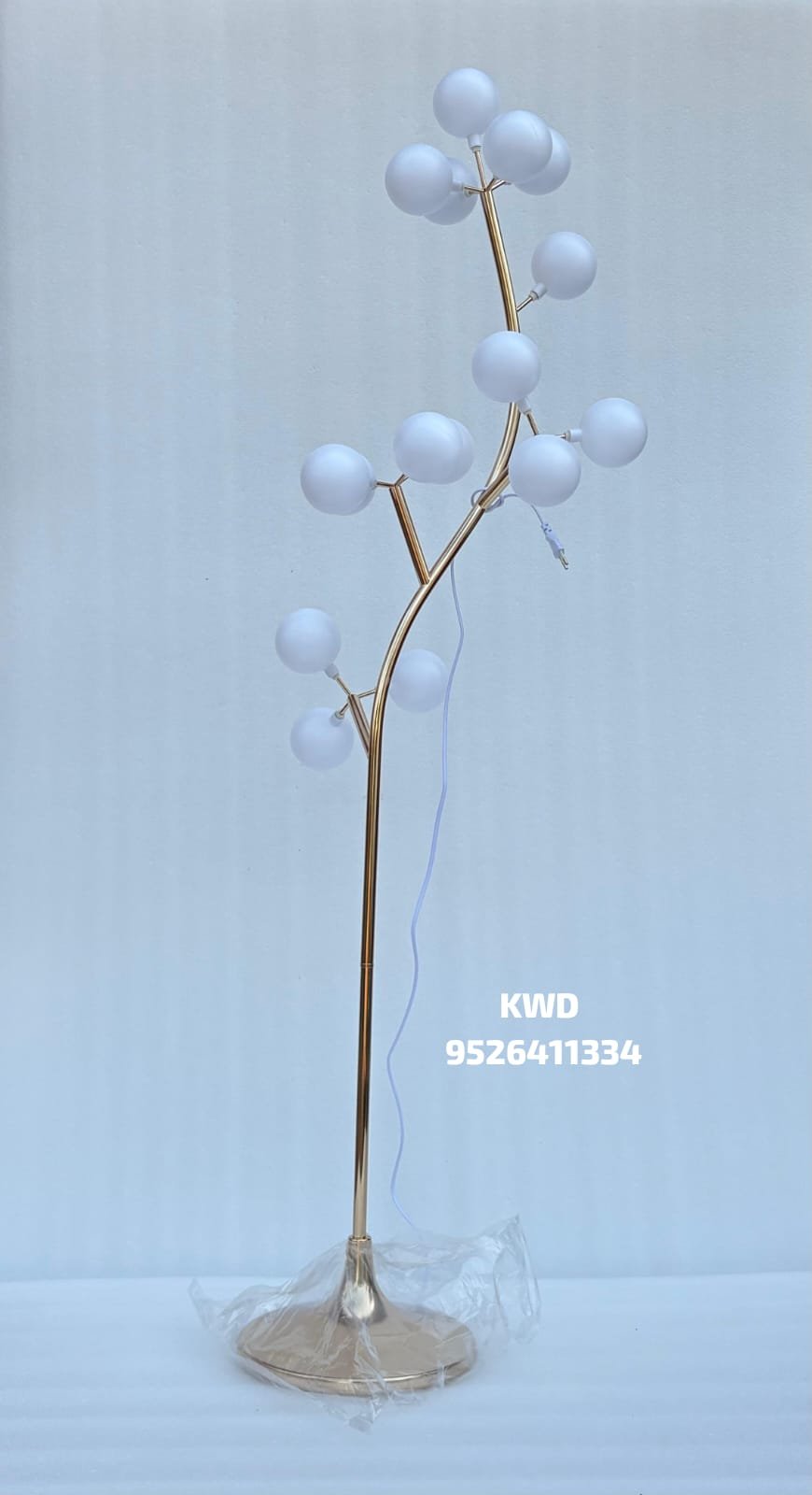 whatsapp image 2026 03 16 at 3.44.10 pm