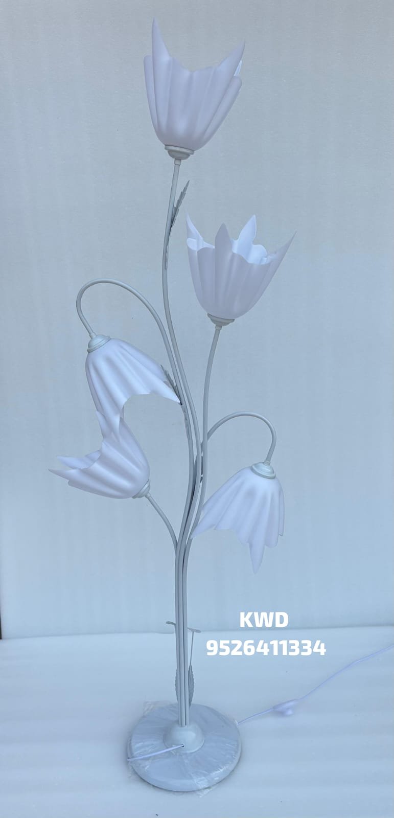 whatsapp image 2026 03 16 at 3.44.11 pm