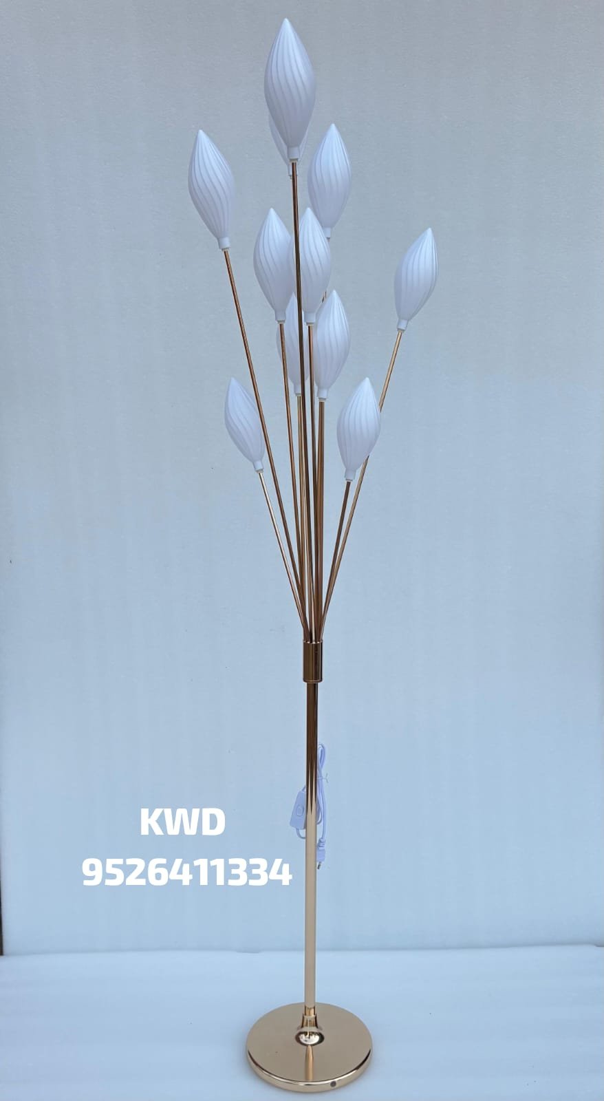 whatsapp image 2026 03 16 at 3.44.12 pm (1)