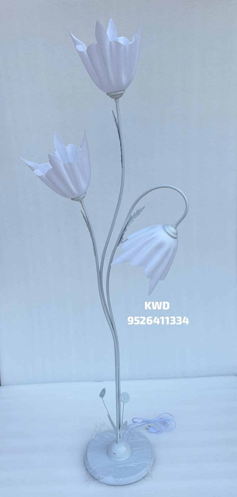 whatsapp image 2026 03 16 at 3.44.12 pm (2)