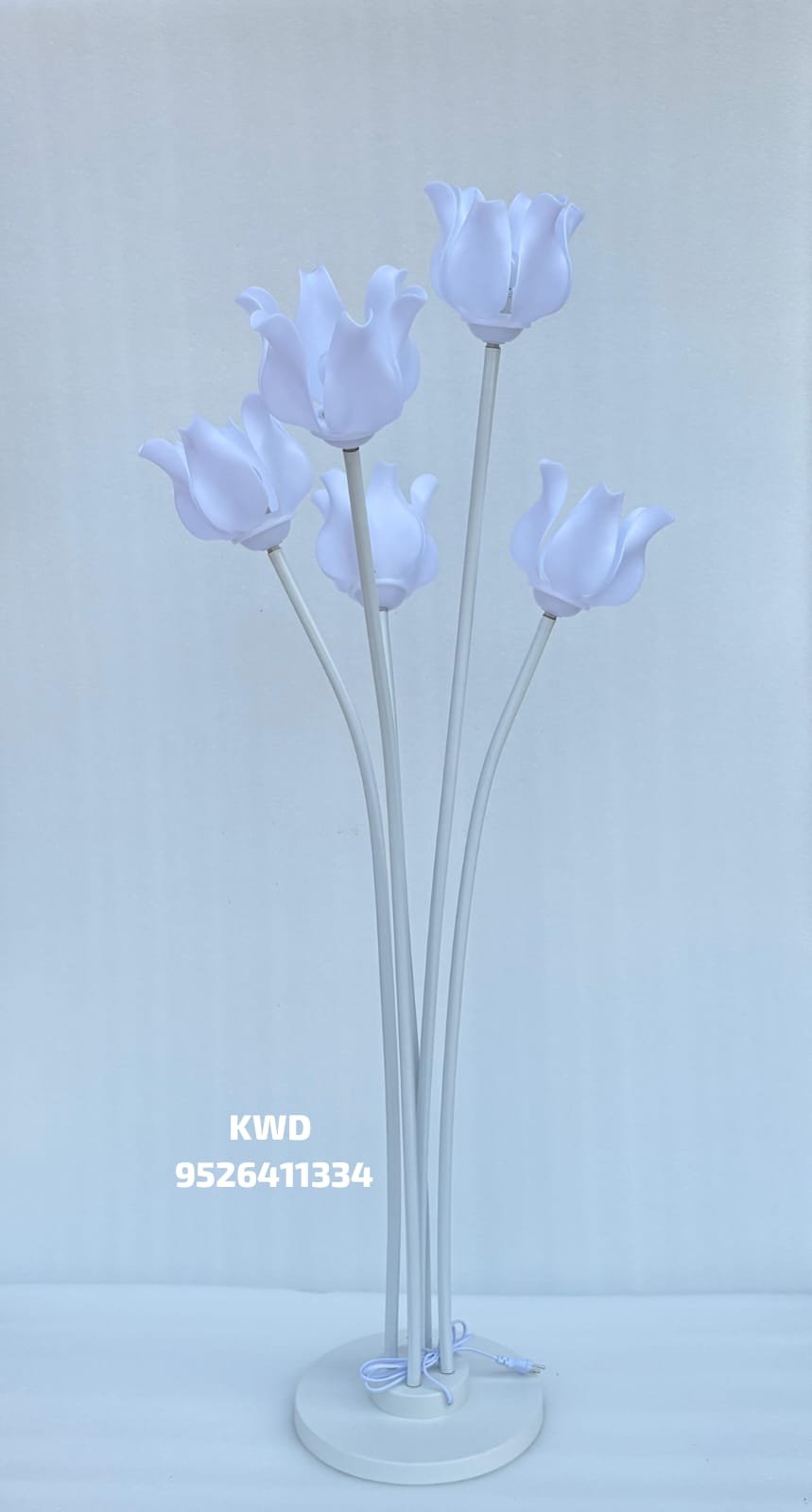 whatsapp image 2026 03 16 at 3.44.13 pm