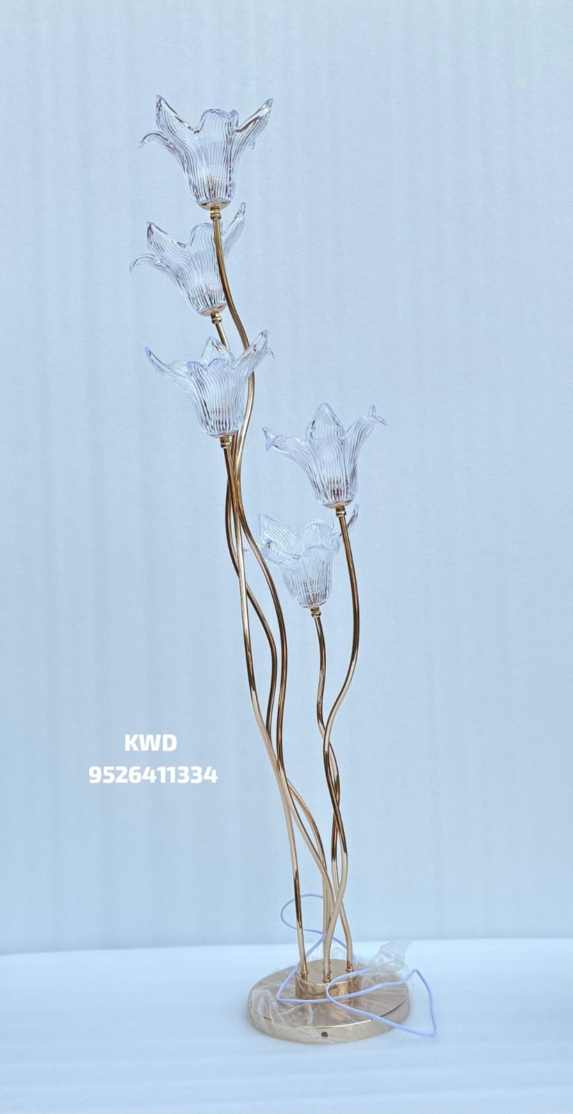 whatsapp image 2026 03 16 at 3.44.14 pm (2)