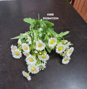 whatsapp image 2026 04 16 at 1.15.46 pm