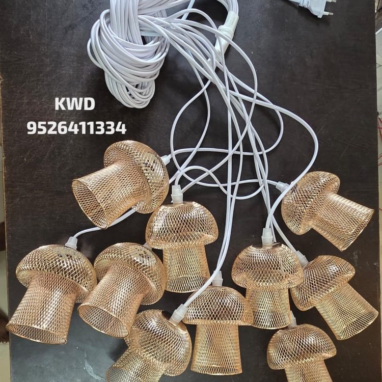 Gallery WhatsApp Image 2026-01-20 at 3.44.14 PM (1)