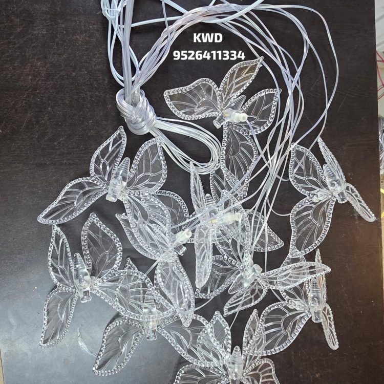 Gallery WhatsApp Image 2026-01-20 at 3.44.17 PM (1)