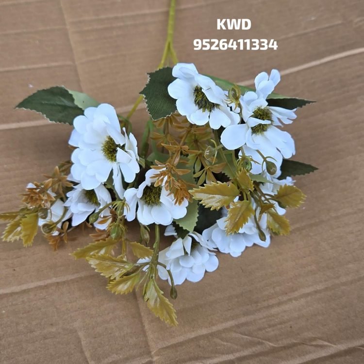 Gallery whatsapp image 2026 03 16 at 3.40.39 pm