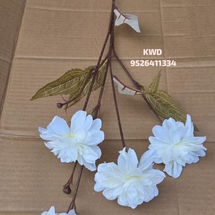 Gallery whatsapp image 2026 03 16 at 3.40.53 pm