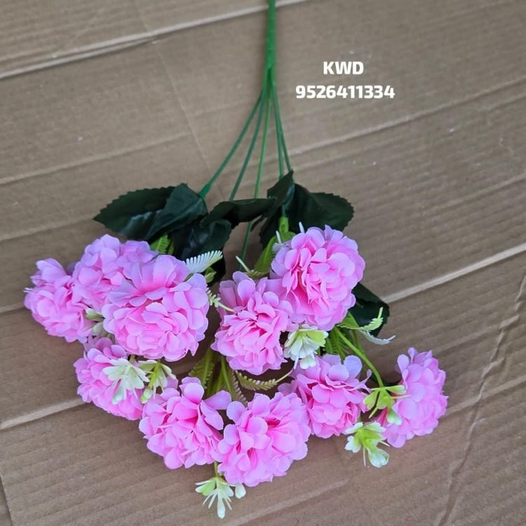 Gallery whatsapp image 2026 03 16 at 3.40.55 pm (1)