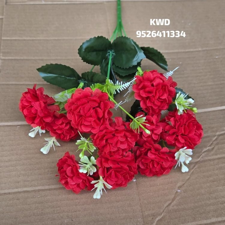 Gallery whatsapp image 2026 03 16 at 3.40.56 pm (1)