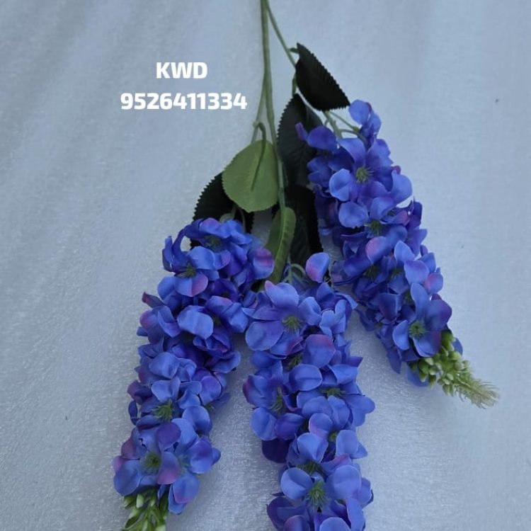 Gallery whatsapp image 2026 03 16 at 3.41.03 pm