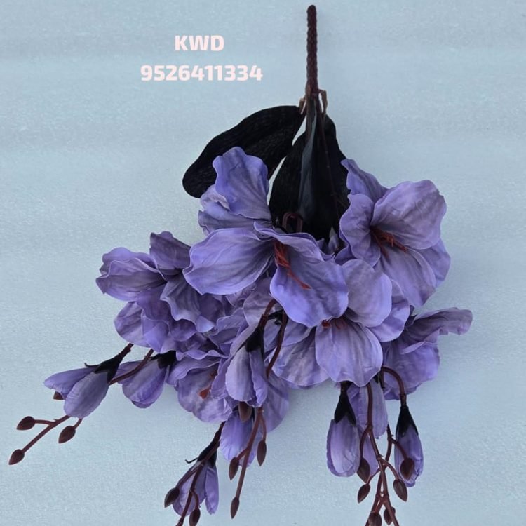 Gallery whatsapp image 2026 03 16 at 3.41.22 pm (1)