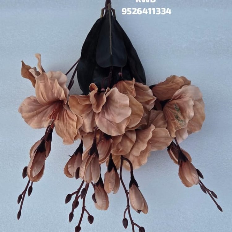 Gallery whatsapp image 2026 03 16 at 3.41.23 pm (1)